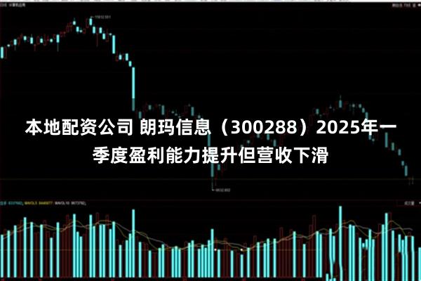 本地配资公司 朗玛信息（300288）2025年一季度盈利能力提升但营收下滑